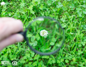 Magnifying Glass Focused on a Clover Flower