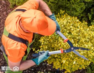 Aerial Shot of Professional Landscaper Shaping Plants