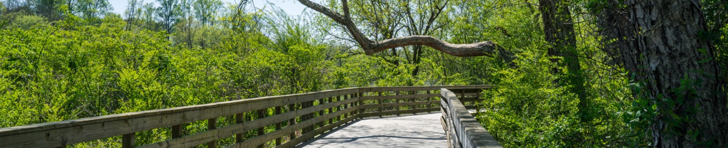 Local introductory image welcoming visitors to Real Property Management North Point