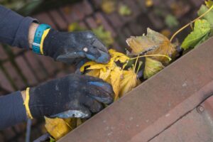 Close up of man’s hands cleaning large leaves out of the rain gutter.