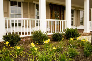 Front porch with low-maintenance shrubs and blooms.