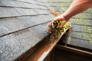 A hand is cleaning a house roof eave copper rain gutter which is filled with plant debris. 