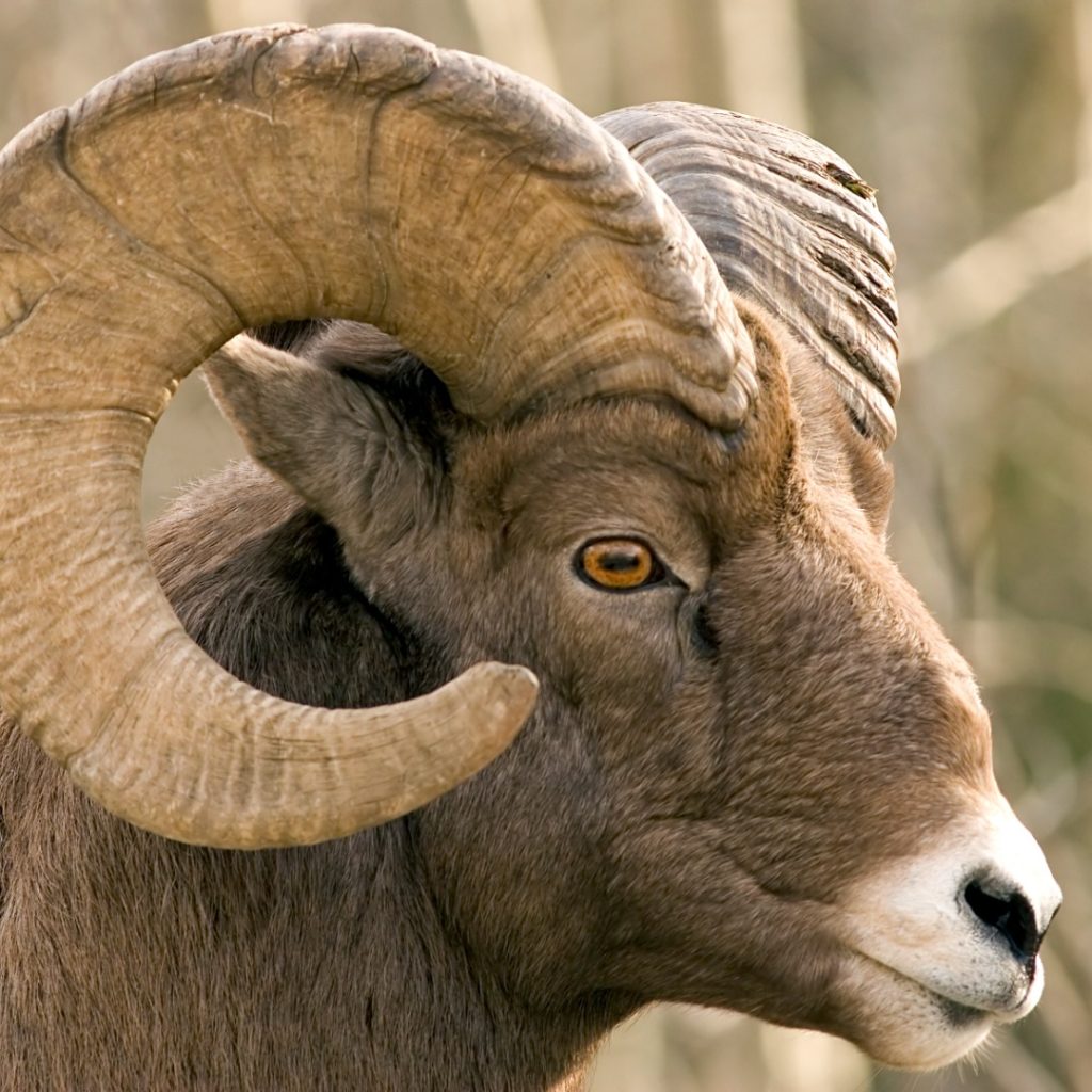 Owasso Property Management Real Property Management Abound