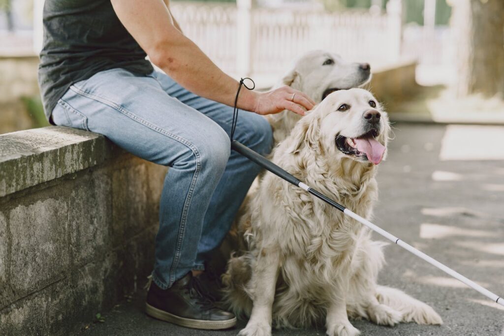 two service animals with person