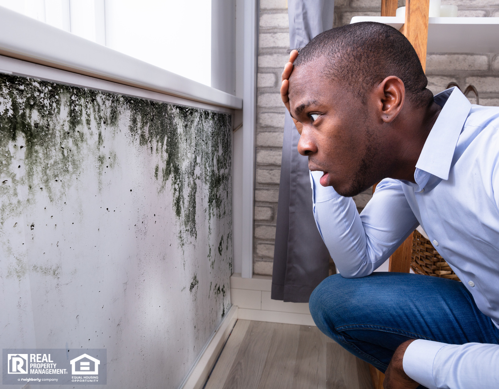 Pittsburgh Tenant Looking at Mold in His Rental Home