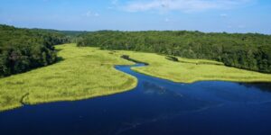 Peaceful shoreline along the Rappahannock River in Virginia.