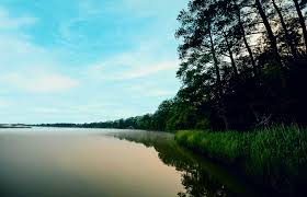 Forested landscape and waterways in King & Queen County, Virginia
