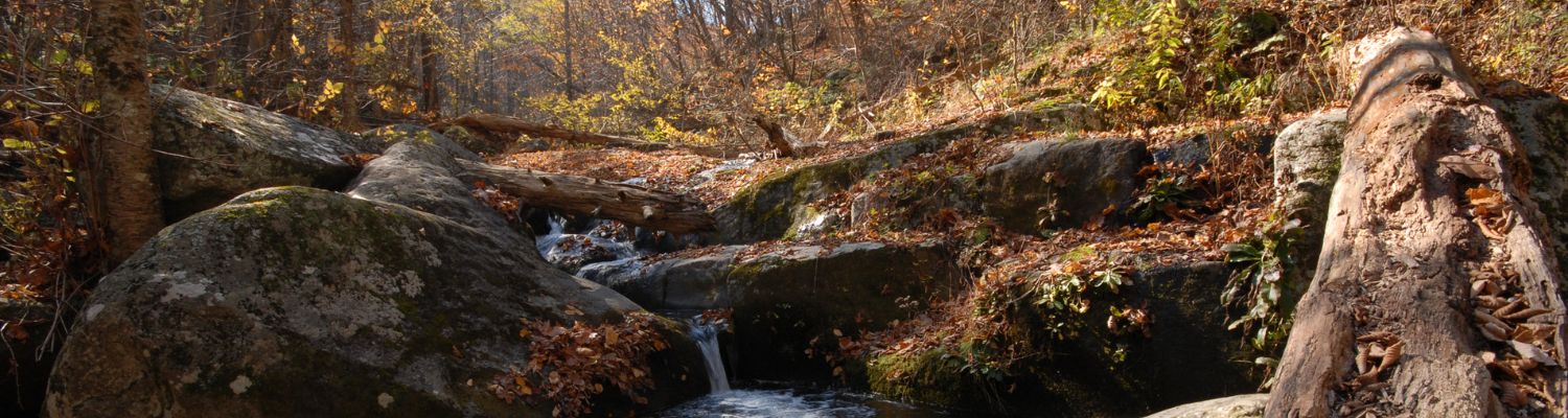 Local introductory image welcoming visitors to Real Property Management Regions