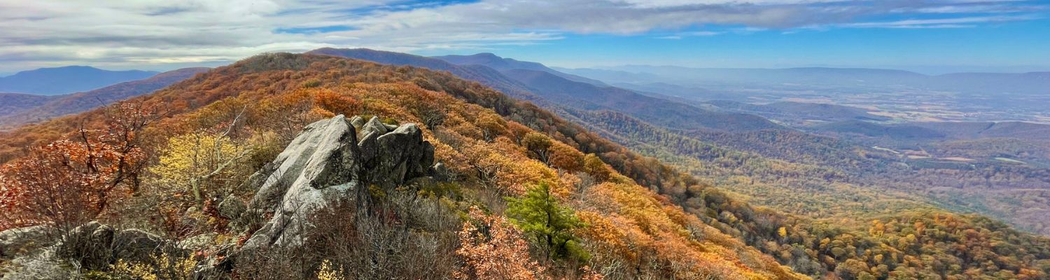 Local introductory image welcoming visitors to Real Property Management Regions