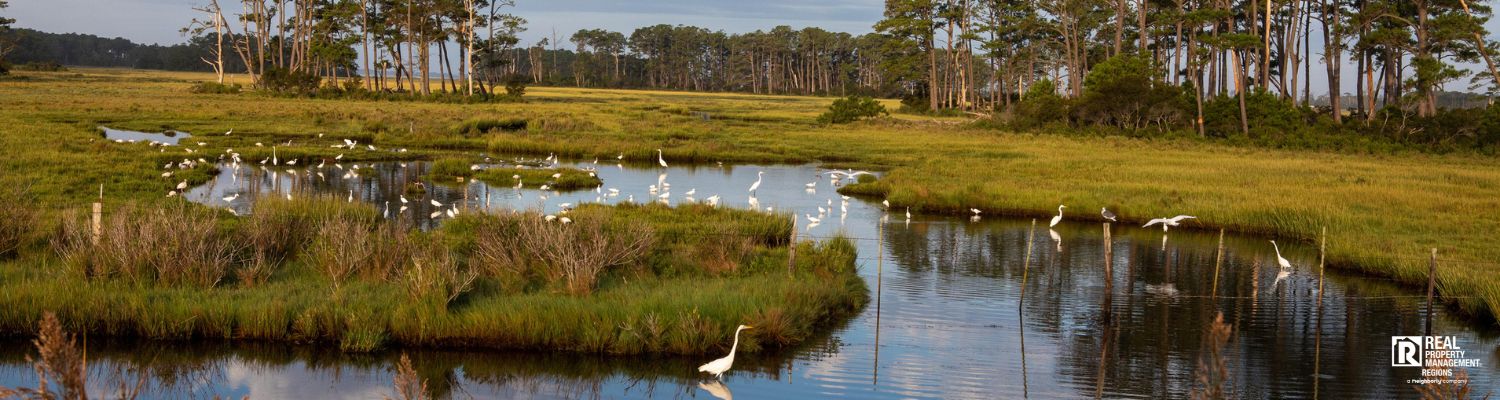Local introductory image welcoming visitors to Real Property Management Regions