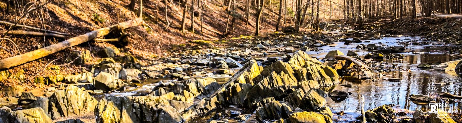 Local introductory image welcoming visitors to Real Property Management Regions