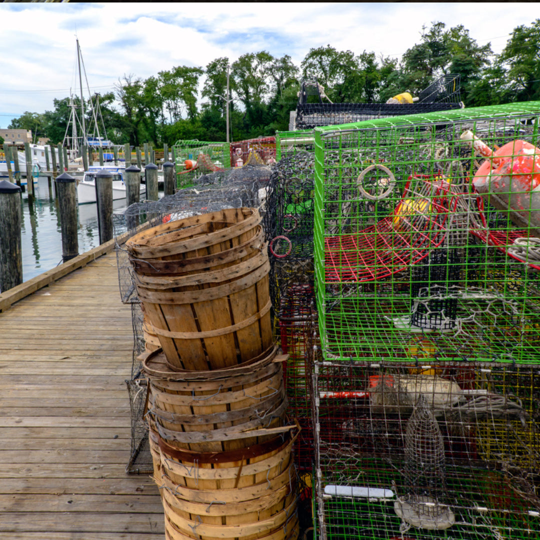 Crab pots and fishing equipment stacked along a dock in Virginia's Northern Neck.