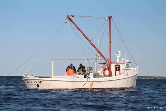 Virginia waterman working from a commercial oyster boat on Chesapeake Bay waters.