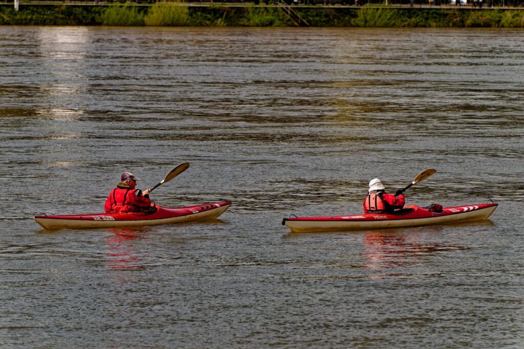 people kayaking