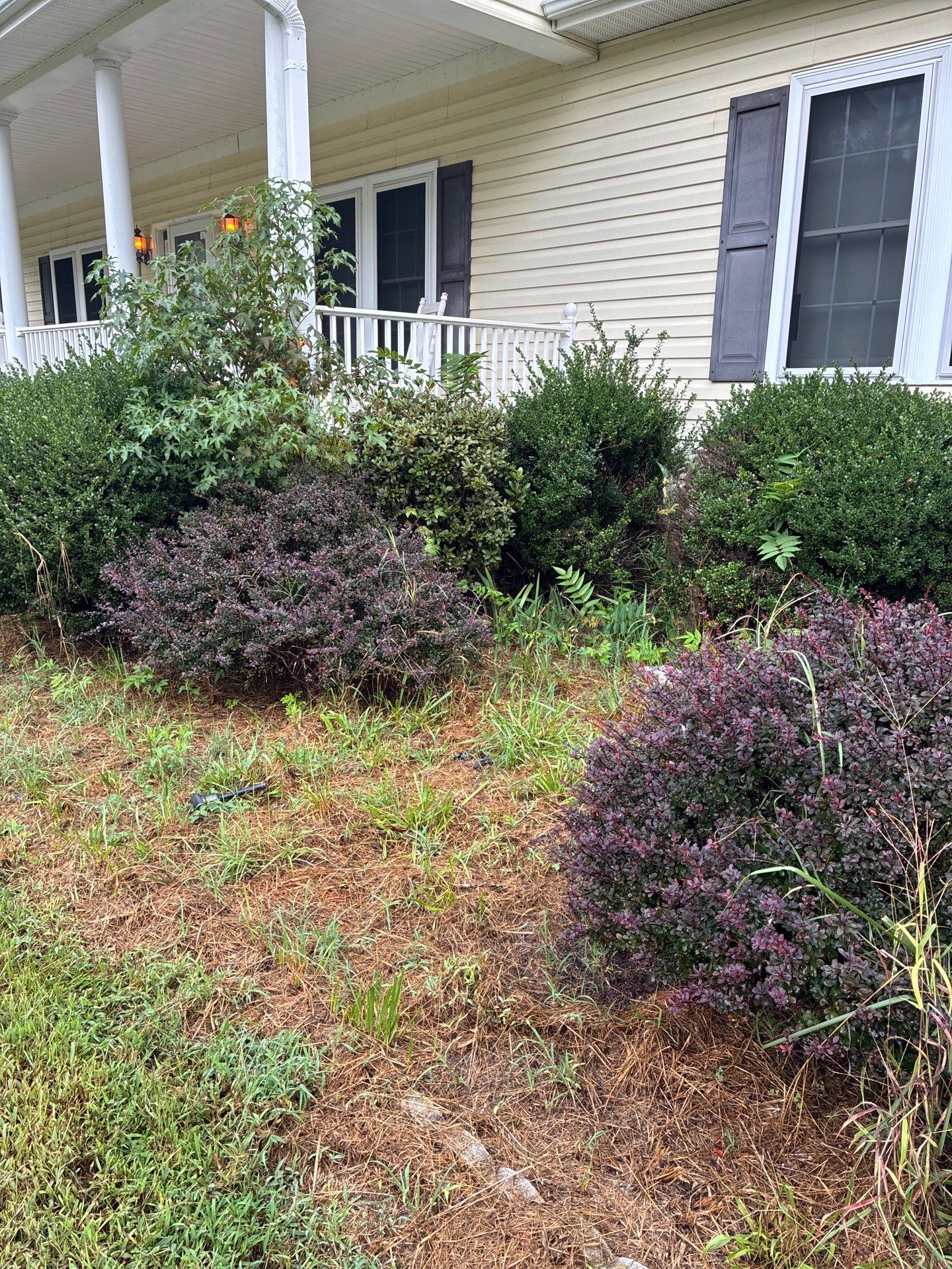 Overgrown landscaping identified during the September 25 Day of Service site assessment in Caroline County