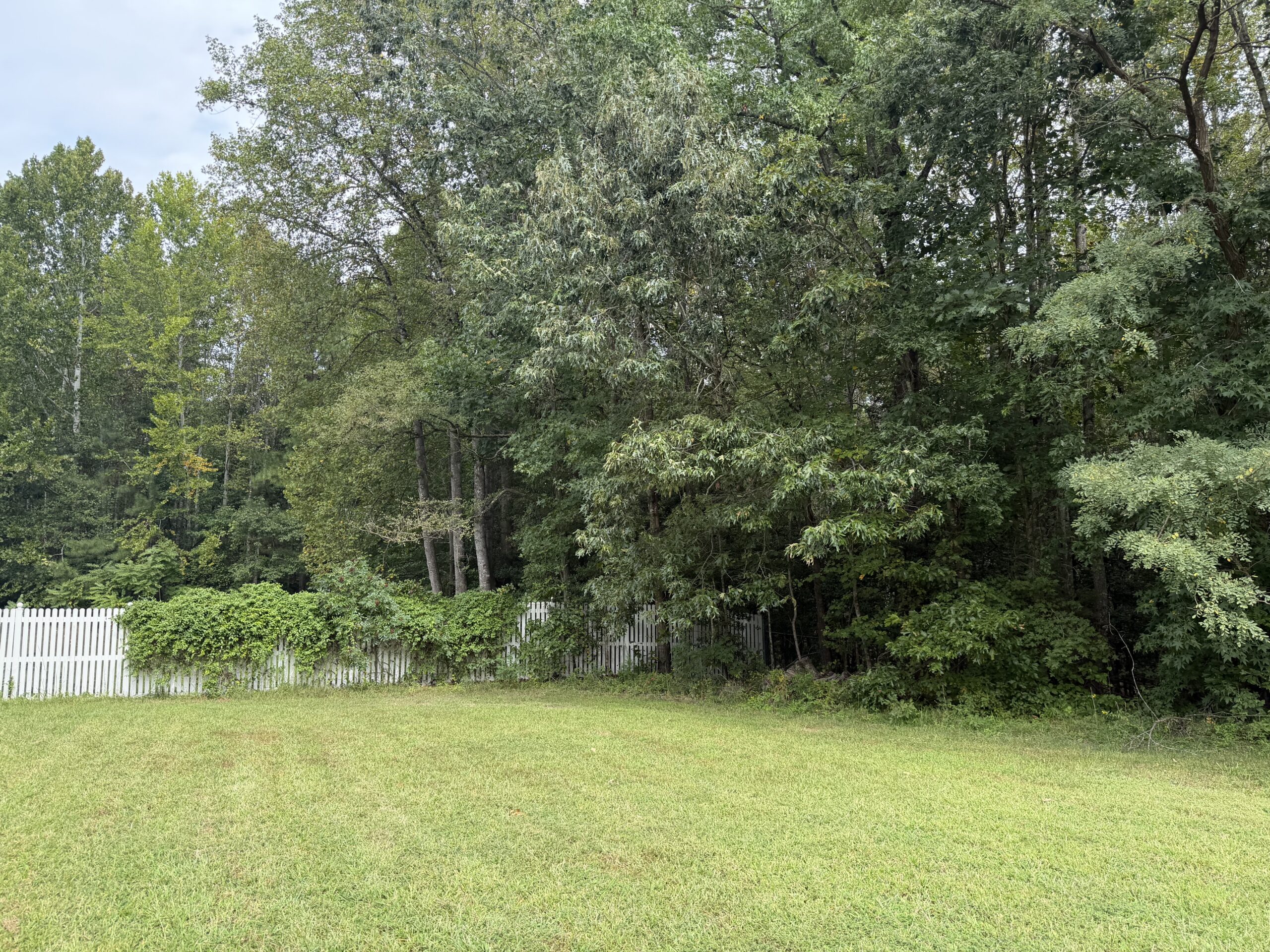 Exterior cleanup area for the September 25 Day of Service in Caroline County