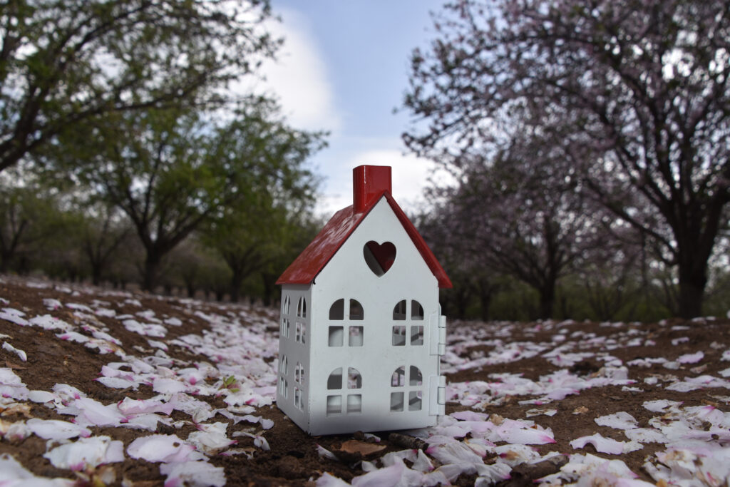 A cozy house nestled amidst cherry blossoms.