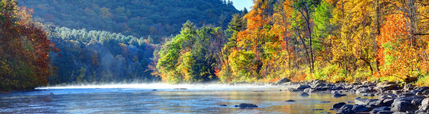 Local introductory image welcoming visitors to Real Property Management Thrive