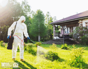 A man wearing a white protective suit sprays grass to prevent pests.