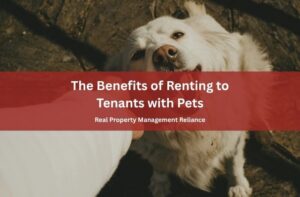 The Benefits of Renting to Tenants with Pets