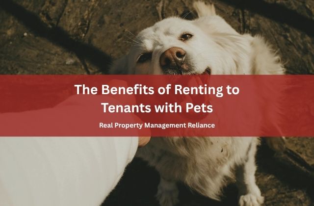 The Benefits of Renting to Tenants with Pets