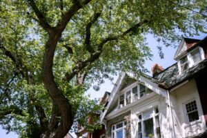 house exterior summer