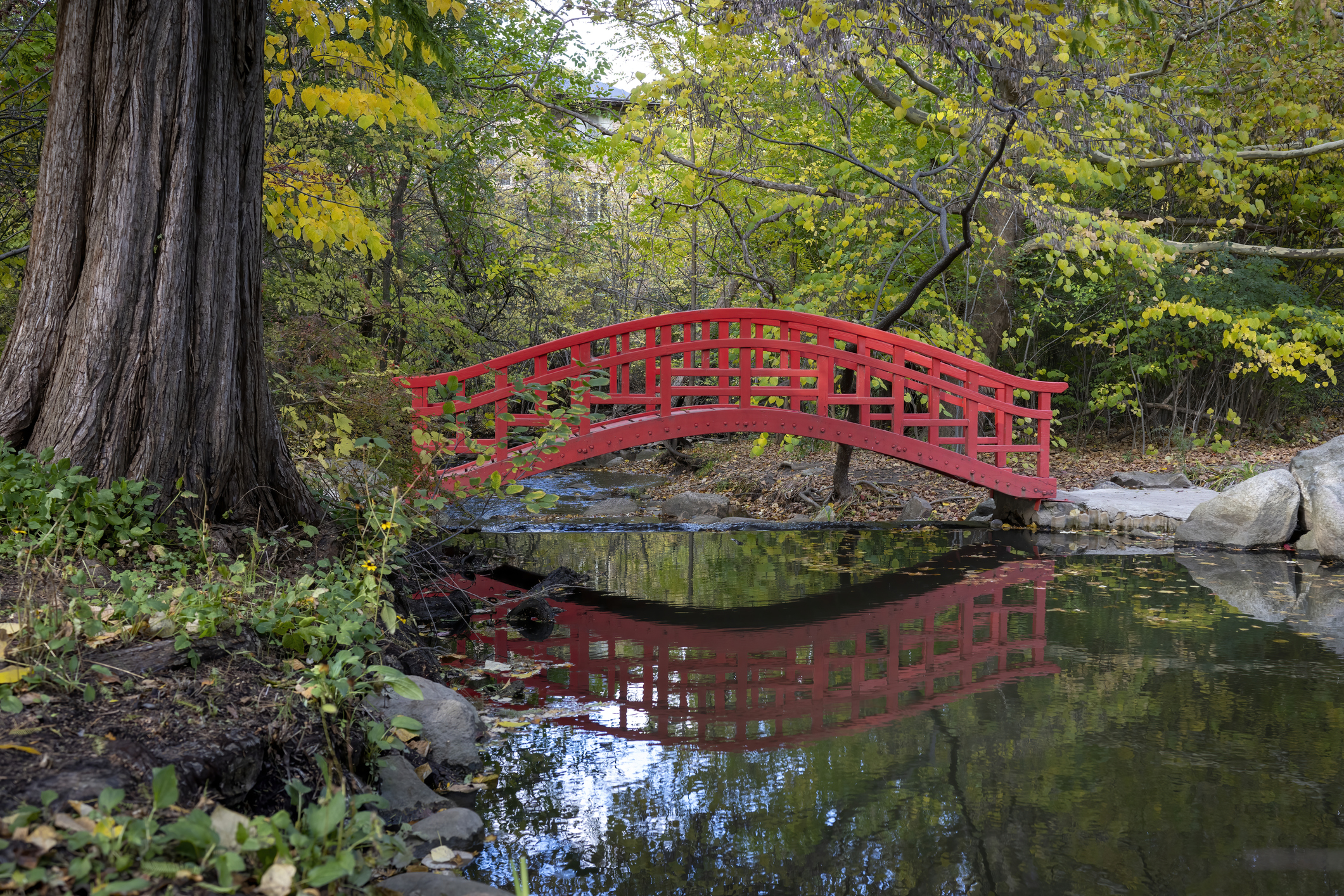 Cranbrook Japanese Garden in Bloomfield Hills, Michigan, one of the oldest Japanese gardens in the United States.