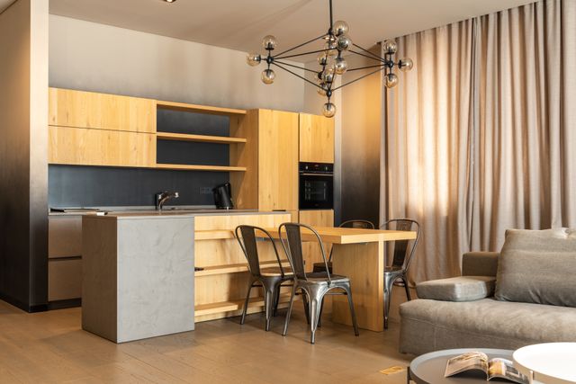 stylish modern kitchen and living area featuring wooden accents