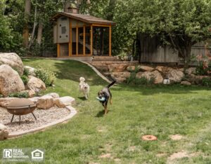 Two large, happy dogs playing chase with a toy in the backyard of a home.