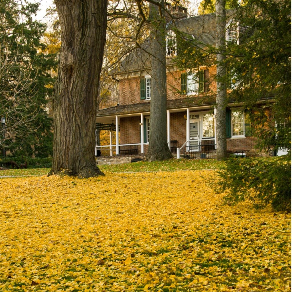 Wexford Property Management Real Property Management Three Rivers