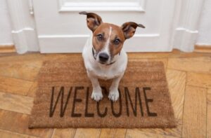 Small dog sitting on a welcome mat inside a rental property.
