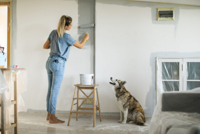 Woman doing diy project in apartment Woman doing diy project in apartment