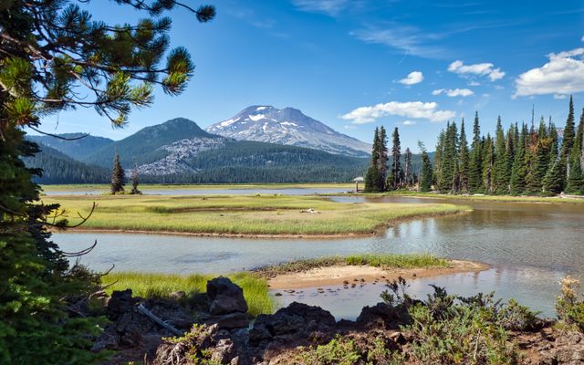 The Tree Farm Property Management Company