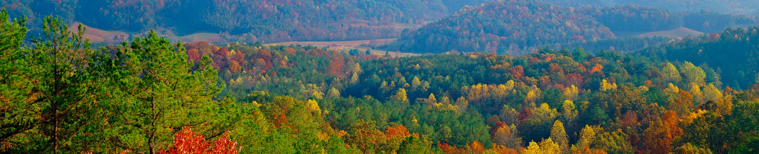 Local introductory image welcoming visitors to Real Property Management Marble City