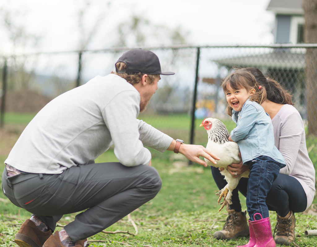 The Trend of Pawtucket Tenants Residents Keeping Chickens