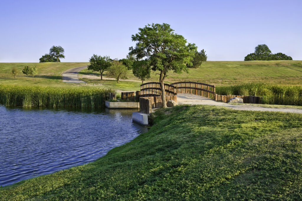 summer footbridge and lake