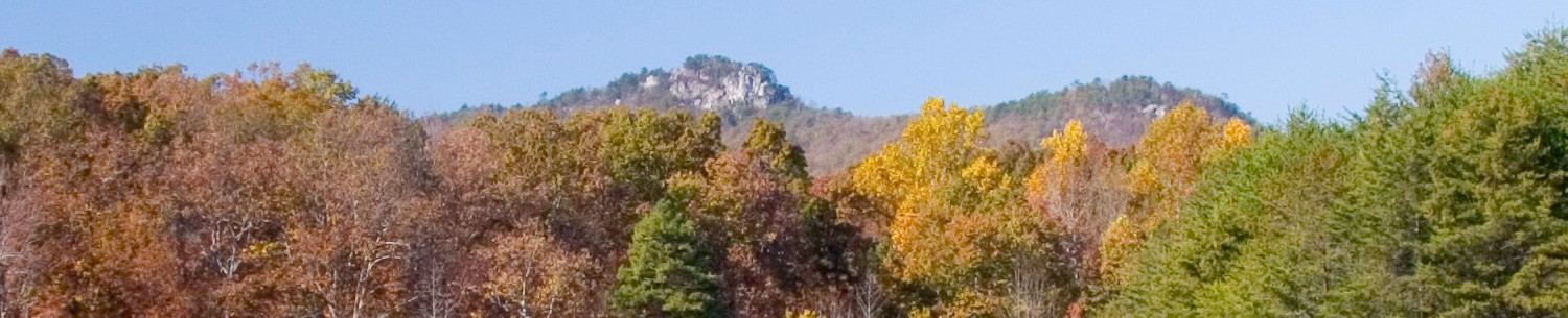 Local introductory image welcoming visitors to Real Property Management Eagle