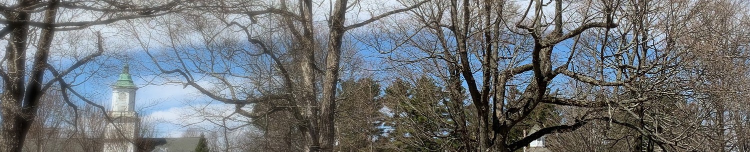 Local introductory image welcoming visitors to Real Property Management Pinnacle