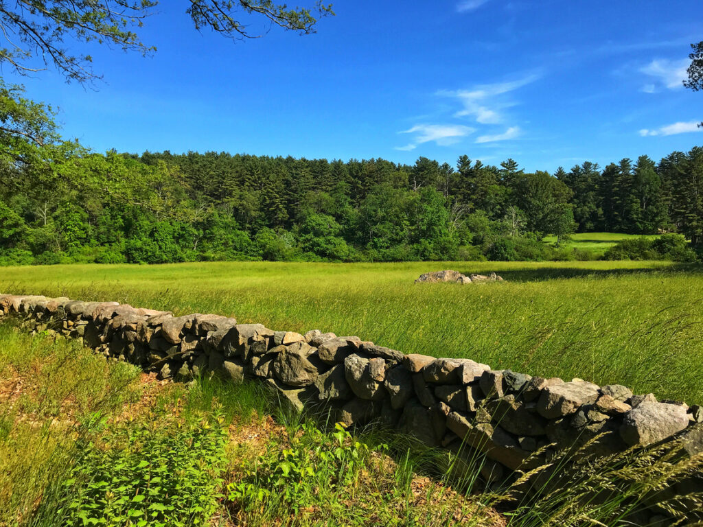 View from Farm Road, Sherborn, Massachusetts