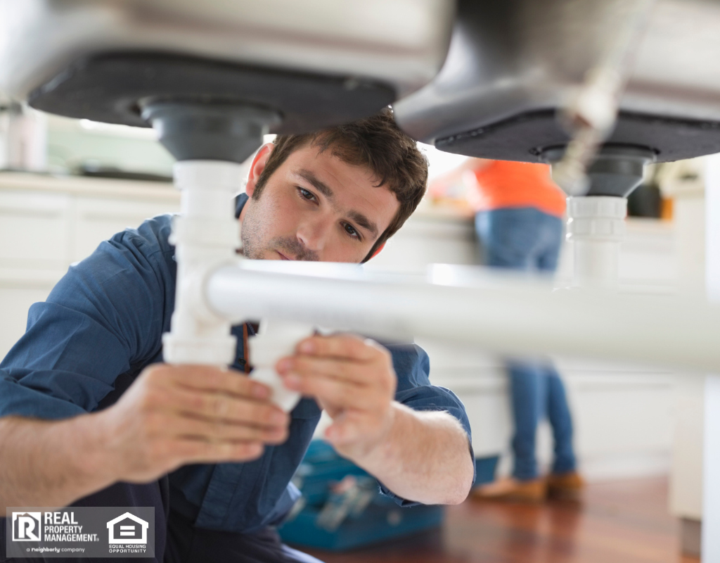 Knowledgeable renter working on pipes underneath sink.