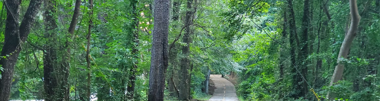 Local introductory image welcoming visitors to Real Property Management Majestic