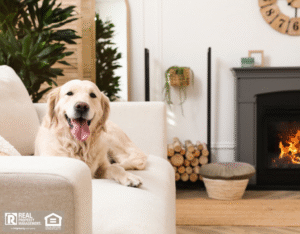 A dog relaxing on a couch, with a crackling fireplace glowing in the background.