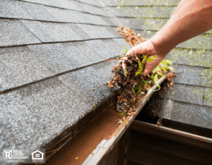 A hand is cleaning a house roof eave copper rain gutter which is filled with plant debris.