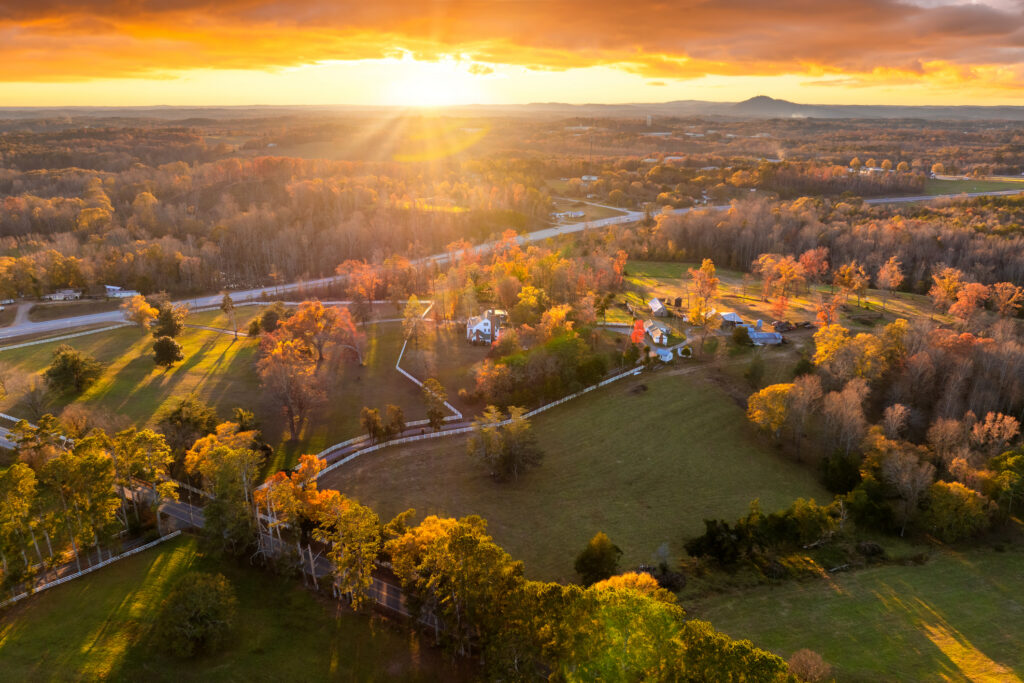 Spacious rural houses among yellow fall foliage in South Carolina suburbs.