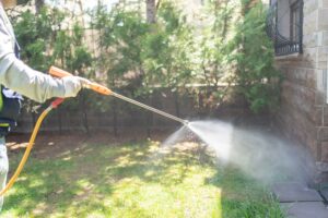 Pest control professional spraying pesticide in garden.