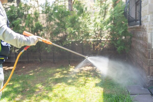 Pest Prevention Outdoors: Protecting Your Rental Property from Unwanted ...