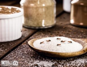 Close-up of ants on a pile of sugar and spices on a wooden surface.