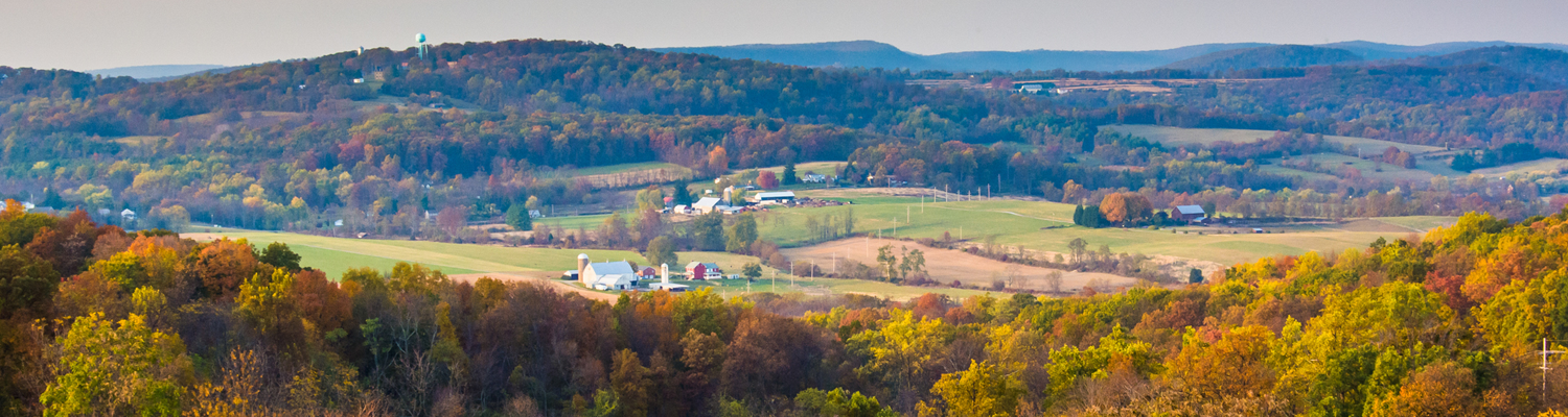 Local introductory image welcoming visitors to Real Property Management Collaborations