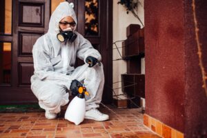 A pest control expert treating the inside of a home.