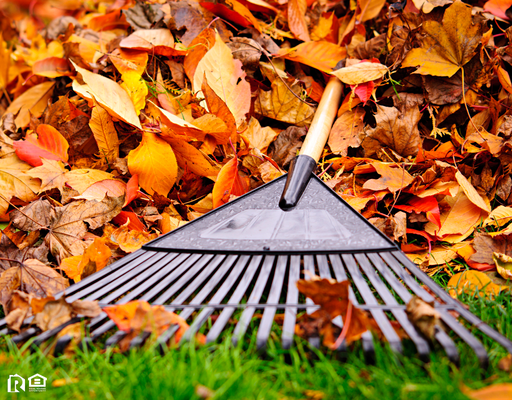 A Rake Resting on a Pile of Colorful Autumn Leaves